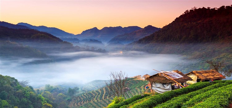 Explore Northern Thailand